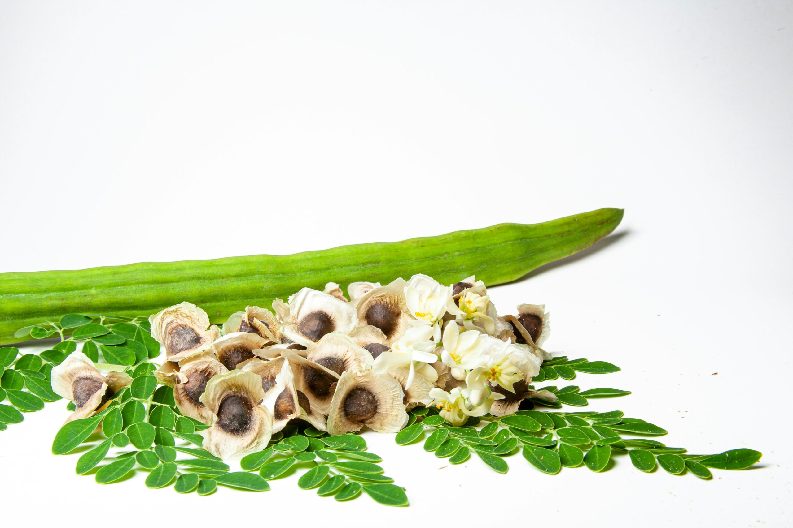 Unlock the Vitamin Powerhouse: How to Maximize Moringa’s Nutritional Benefits